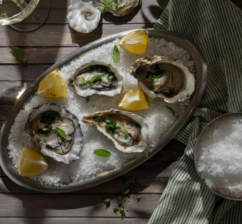 WhatsApp Image 2026-03-27 at 1.24.30 PM